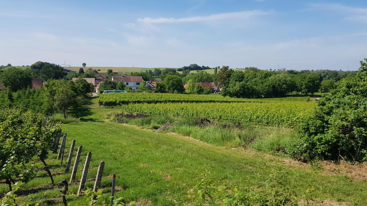 Apartamento Haus Rebenblick Dierbach Exterior foto