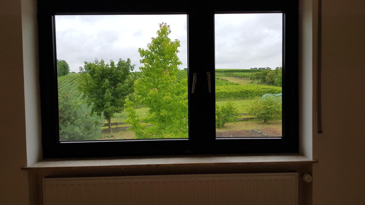 Apartamento Haus Rebenblick Dierbach Exterior foto